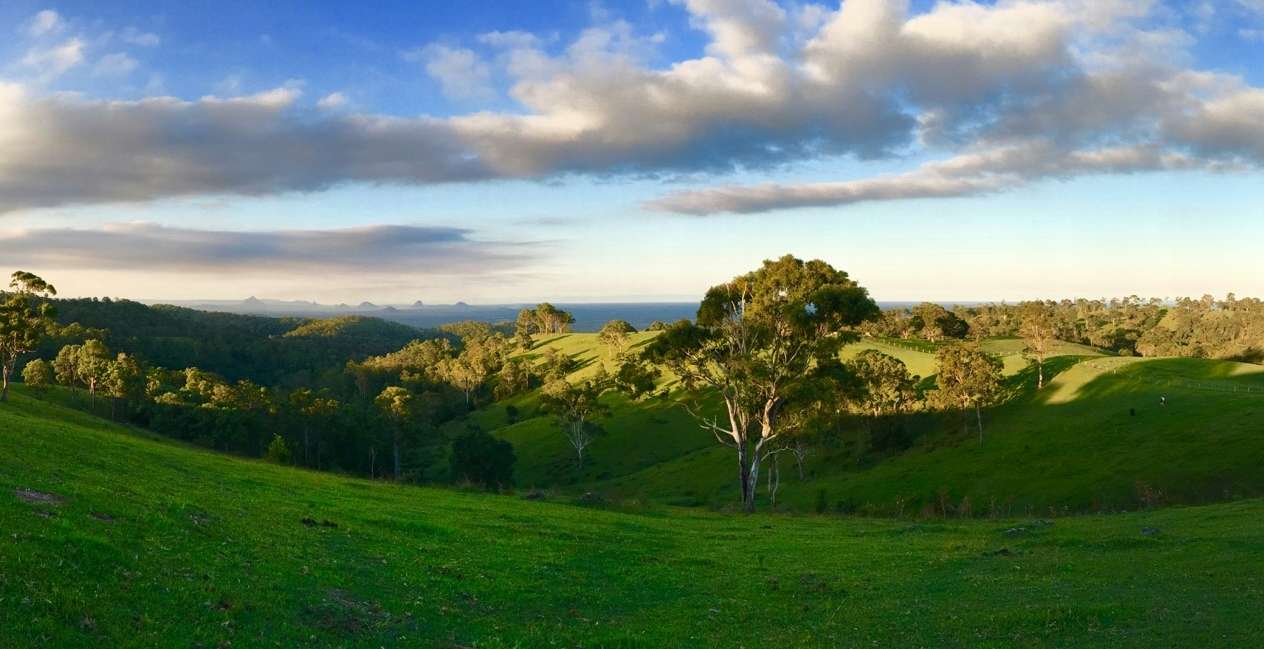 Expansive Queensland cattle grazing station under a clear blue sky